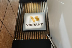 VS-Vibrant-2